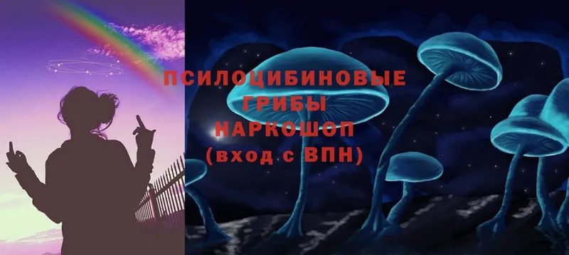 Псилоцибиновые грибы Psilocybe  Электроугли 